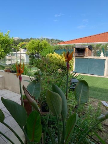 Jardin D'Azur Proche Mer Cagnes-sur-Mer Eksteriør billede